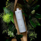 Lissage Au Tanin Lana Brasiles Forest Tanino 3